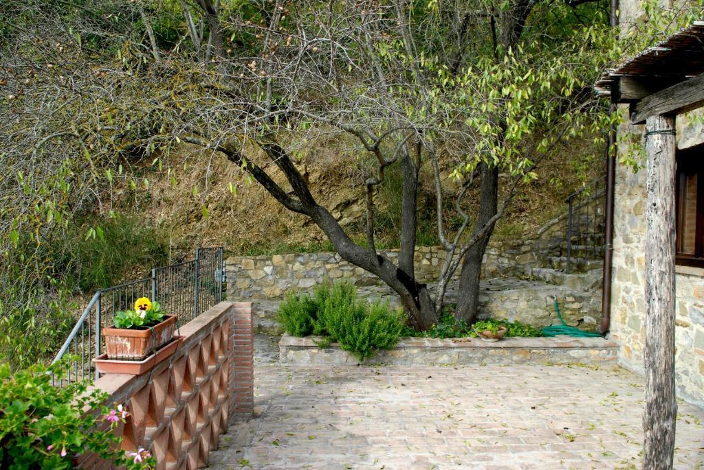 Podere Monte Petreto San Savino  Room photo