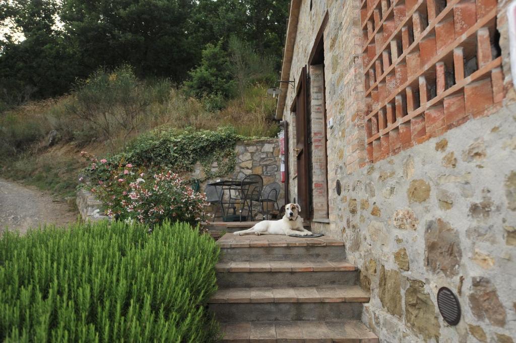 Podere Monte Petreto San Savino  Room photo